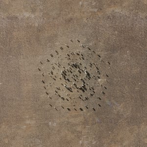 crystalline work (arctic) 6.5.320.1 thumbnail