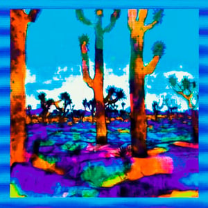 Arid Articulations #11 thumbnail
