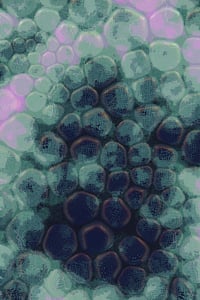 Vitreous #12 thumbnail