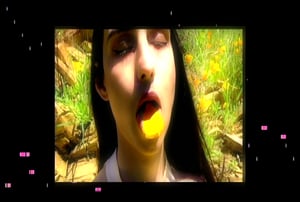 Allure of the Poppy #4 thumbnail