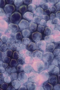 Vitreous #65 thumbnail
