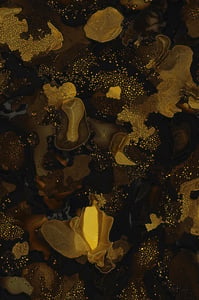 Dactylogram #94 thumbnail