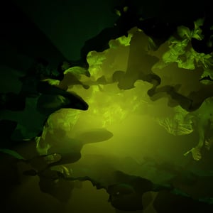 BLOOMCORE #15 thumbnail