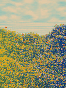 Superbloom #21 thumbnail