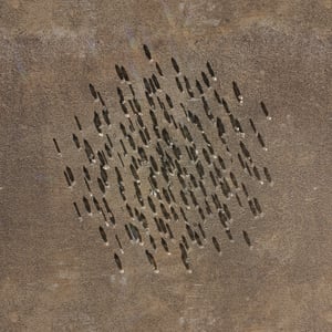 crystalline work (arctic) 20.5.314.1 thumbnail