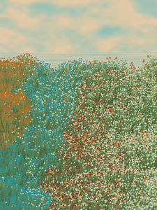 Superbloom #17 thumbnail