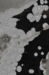 Dactylogram #118 thumbnail