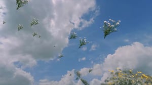 New Landscapes 2023 #15 thumbnail