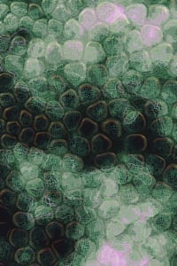 Vitreous #59 thumbnail
