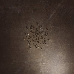 crystalline work (arctic) 24.7.270.1 thumbnail