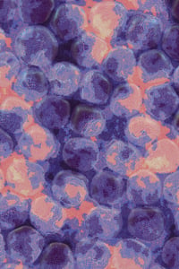 Vitreous #86 thumbnail