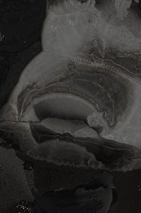 Dactylogram #49 thumbnail