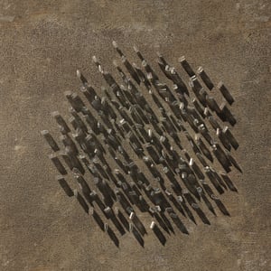 crystalline work (arctic) 7.5.292.1 thumbnail