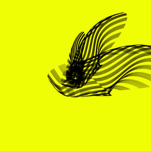 ANATOMY of a rabbit but bird #23 thumbnail