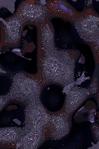 Dactylogram #113 thumbnail
