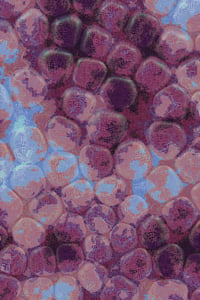 Vitreous #63 thumbnail