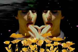 Allure of the Poppy #3 thumbnail