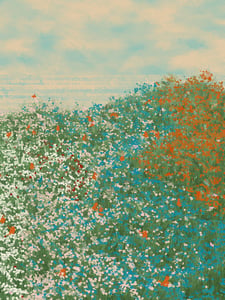 Superbloom #16 thumbnail