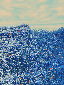 Superbloom #109 thumbnail