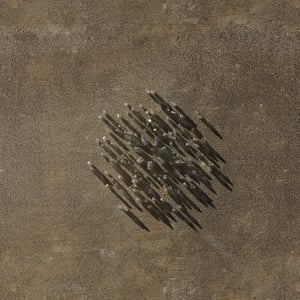 crystalline work (arctic) 8.7.290.1 thumbnail