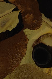 Dactylogram #38 thumbnail