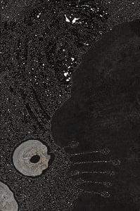 Dactylogram #36 thumbnail