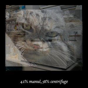 Memory Intensified by Hand of Manual World #15 thumbnail