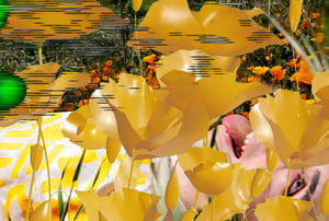 Allure of the Poppy #26 thumbnail