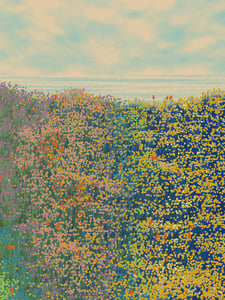 Superbloom #74 thumbnail