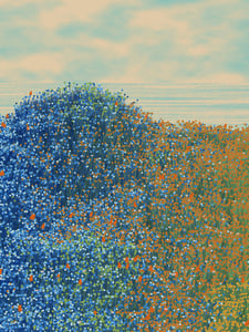 Superbloom #6 thumbnail