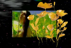 Allure of the Poppy #13 thumbnail