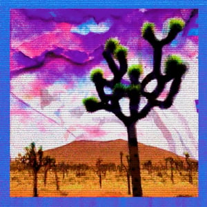 Arid Articulations #9 thumbnail