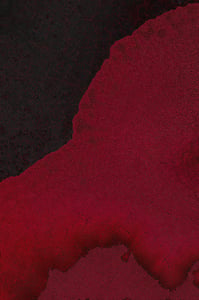 Dactylogram #28 thumbnail