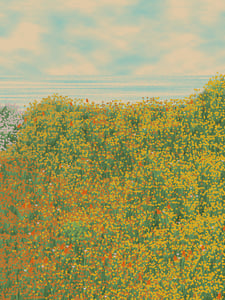 Superbloom #33 thumbnail