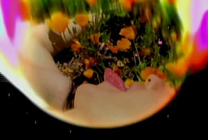 Allure of the Poppy #7 thumbnail