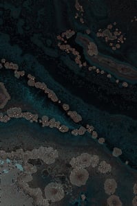 Dactylogram #127 thumbnail