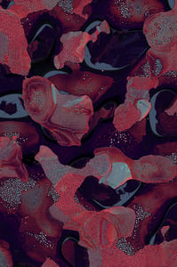 Dactylogram #77 thumbnail