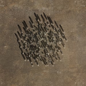 crystalline work (arctic) 19.5.296.1 thumbnail