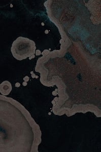 Dactylogram #66 thumbnail