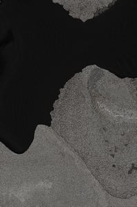 Dactylogram #45 thumbnail