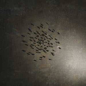 crystalline work (arctic) 22.8.122.1 thumbnail