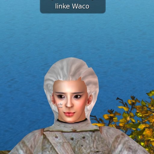 Lin Ke avatar