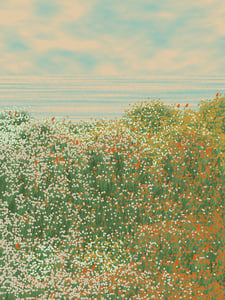 Superbloom #56 thumbnail