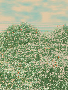 Superbloom #133 thumbnail