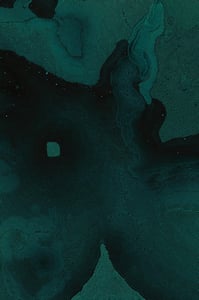 Dactylogram #43 thumbnail