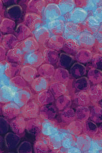 Vitreous #93 thumbnail