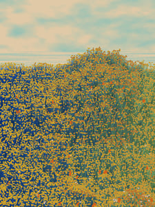 Superbloom #3 thumbnail