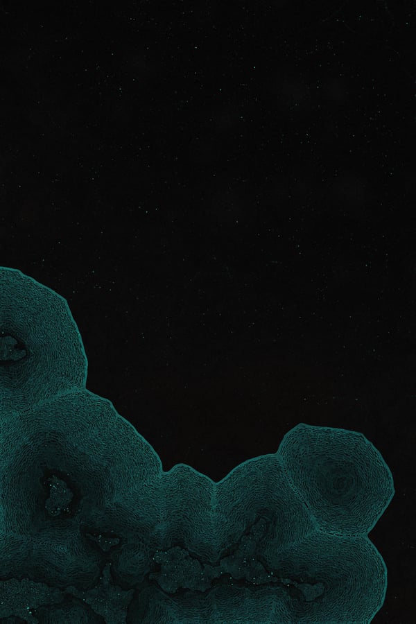 Dactylogram thumbnail