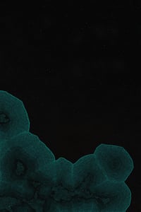 Dactylogram thumbnail