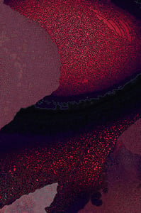 Dactylogram #22 thumbnail